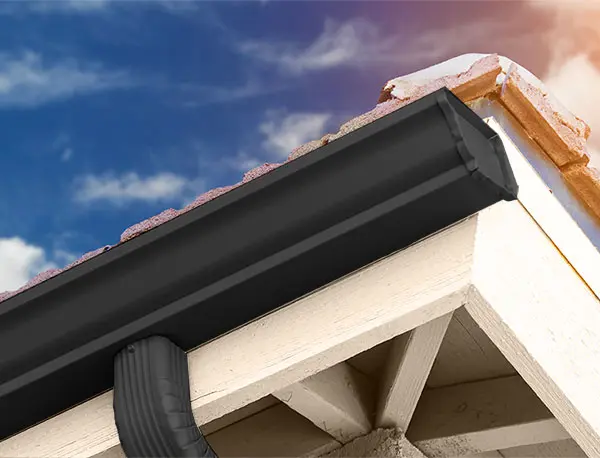 Black Gutter